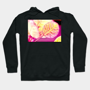 Lollipop Leaf Hoodie